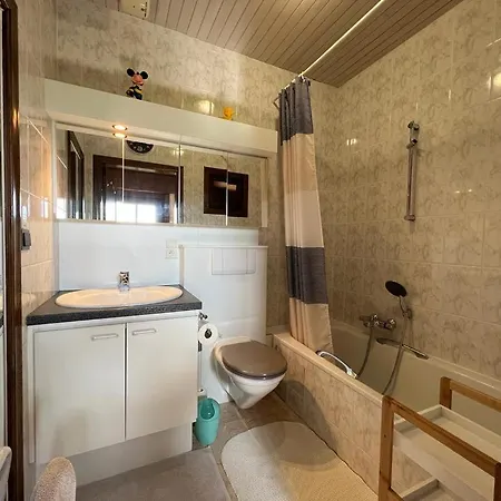 Ferienhaus Huize Liesanne *